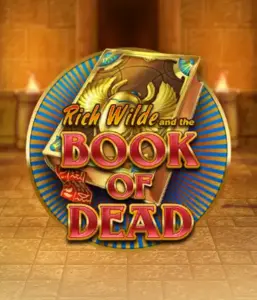 Dive into the thrilling world of Book of Dead by Play'n GO, showcasing vivid graphics of Rich Wilde’s adventurous journey through ancient Egyptian tombs and artifacts. Uncover lost riches with exciting mechanics like free spins, expanding symbols, and a gamble option. Ideal for those seeking adventure with a desire for unearthing secrets.